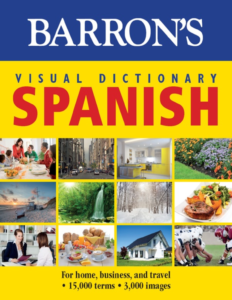 Rich results on Google's SERP when searching for ''Barrons-Visual-Dictionary-Spanish''