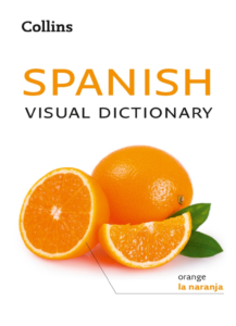 Rich results on Google's SERP when searching for ''Collins-Spanish-Visual-Dictionary''