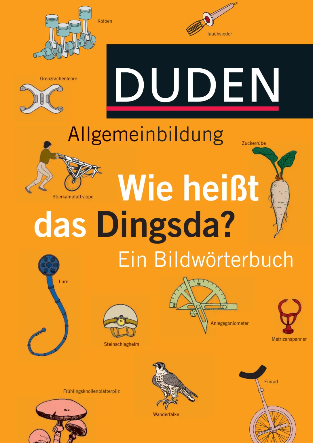 Rich Results on Google's SERP when searching for ''Duden-Allgemeinbildun-Wie-Heibt-Das-Dingsda-Ein-Bildworterbuch''
