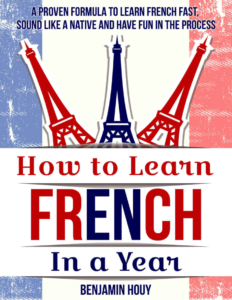 Rich results on Google's SERP when searching for ''How-To-Learn-French-In-A-Year''