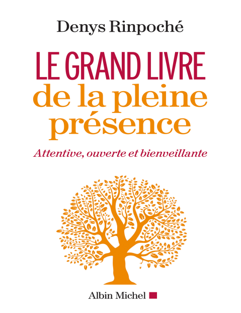 Rich results on Google's SERP when searching for ''Le-grand-livre-de-la-pleine-presence''